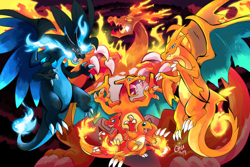 Pokemon Mega Charizard X Y 19