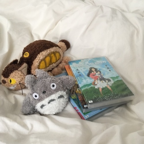 sheepshapedclouds: Ghibli-nerd