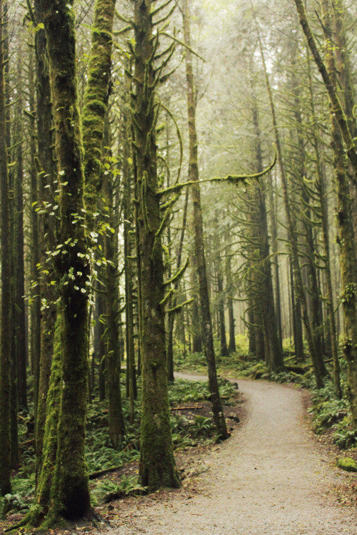 matchbox-mouse: Hiking on a Saturday morning.