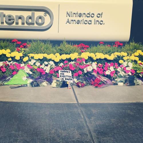 li-kovacs:  #Nintendo fans are leaving flowers adult photos