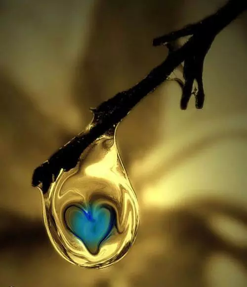 The meanderings of an open mind and heart...