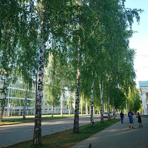 Arsenal #alley (#history city  #armory) , #Izhevsk #Udmurtia   #kids #games  #walk #walking #family #restplace #travel #Russia #perfectday #travelphotography #colors #colours #Green #bestweather #sky #sunny #sunnyrays #perfectmood 👌 #tree #trees 🌲