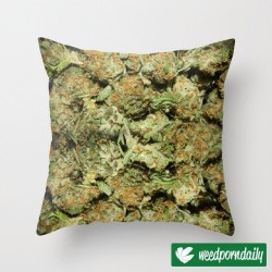 weedporndaily:  Place your face in a pillow of #pot 🌙🍁🍄 Check out our collection of #cannabis pillows on #Society6 http://ift.tt/1kXTuGG #weedporndaily #stayregular #superstoners http://ift.tt/1oA5HP7