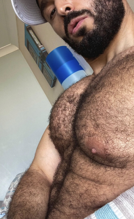 adammitchlove: These guys have the hairiest chests in the world. They are like hairy jungles. Which 