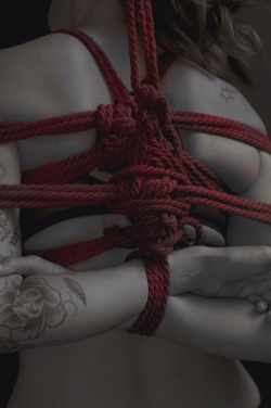 fluffybitz:  peterclassen:  ©2015 www.peterclassen.com   Delicious Knots of RED ~x   ❤️❤️❤️   