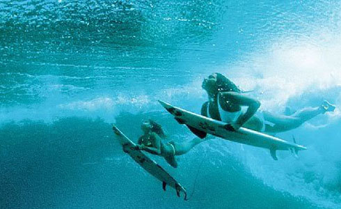 Babes and Boards