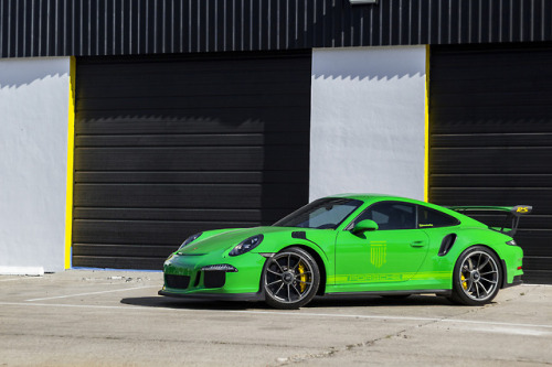 carpr0n:  Starring: Porsche 991 GT3RS     By Daniel Shofner