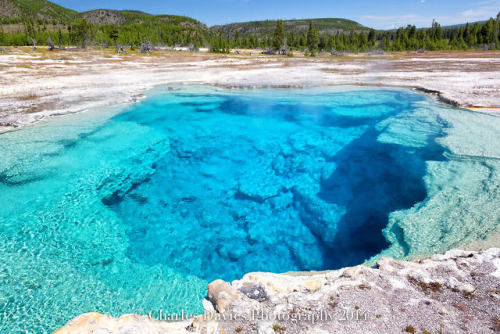 Blue Sapphire Pool, Biscuit Basin, Yellowstone by charlesdaviesphotography