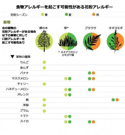 Marukovic Net News 口の花粉症 野菜や果物で口が痒くなる 口腔アレルギー とは