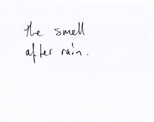 covered-with-mist:  http://covered-with-mist.tumblr.com/