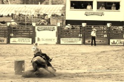 foreverequines:  Cloverdale Rodeo 2013