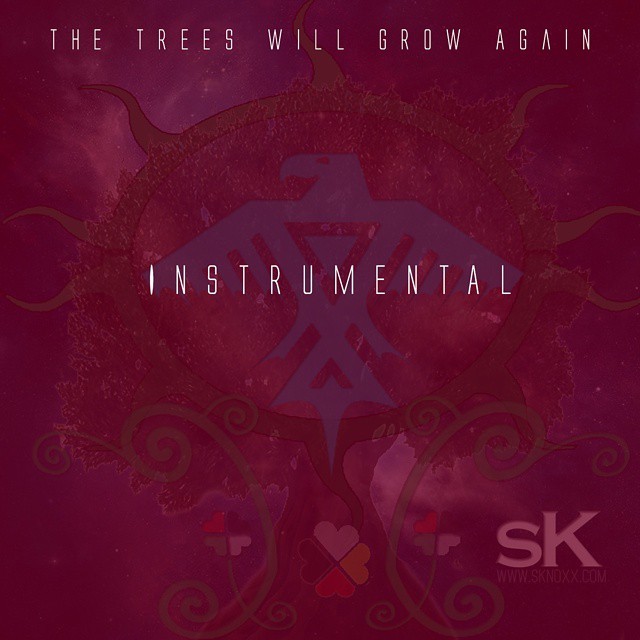 You hear this bngr?
http://sknoxx.bandcamp.com/track/the-trees-will-grow-again-instrumental
#Instrumental #beats