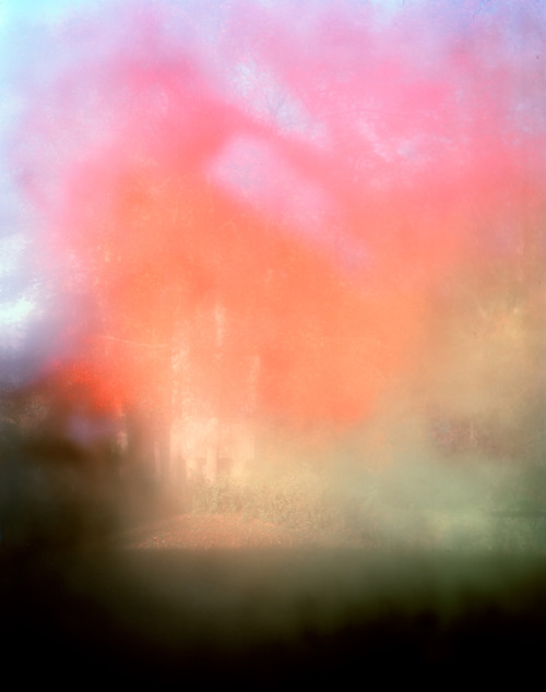 mustiest:  JIllian Freyer - For You To Sleep On The Tree Tops [x]