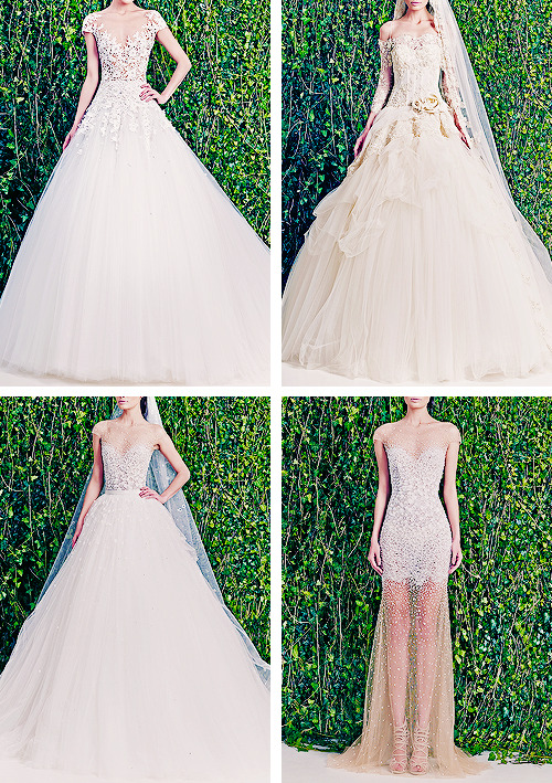 Sex fashion-runways:  ZUHAIR MURAD Bridal Collection pictures