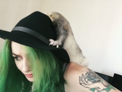 laicawitch:  I wanted to take selfies but Pippin would rather kiss me - a novel by me 🐾💚