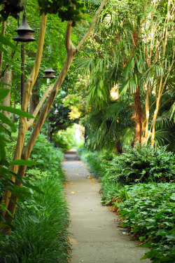 hueandeyephotography:  Lush path, Gateway