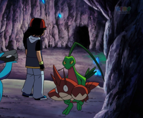 bbdeathz:LOOK AT GROVYLE CARRYING CORPHISH!!  :D