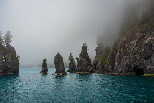 oneshotolive:  Morning Fog - Kenai Fjords