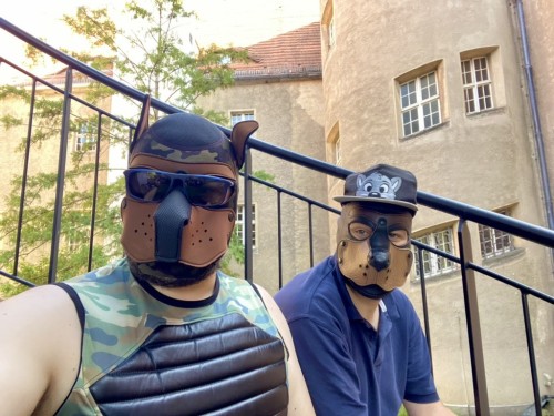 From Puppygames After Folsom Europe Together With Bf/https://dog-pound.de/@rubberdogs/https://dog-pound.de/@moppi