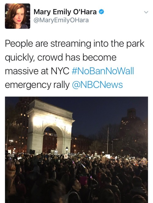 sandalwoodandsunlight: Pro-immigration rallies happening right now in New York City and Washington, 