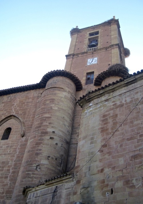 Torre de la iglesia con nidos de cigüeña, Nájera, la Rioja, 2011.