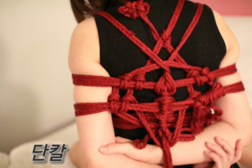 Porn photo dance-rope:  구속의 미학은 언제나