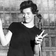 dylanandstilinski:  Harry Edward Styles everybody! :) 