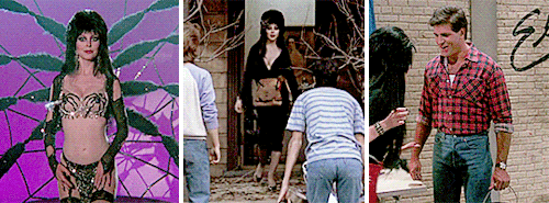 costumesonscreen - Elvira - Mistress of the Dark (1988)Costume...