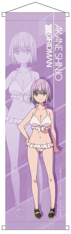 Sex my-anime-goods:  SSSS.Gridman   Mini Wall pictures