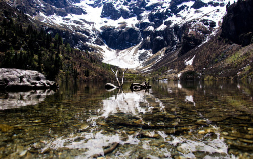 above the snow line in the austrian mountains,&hellip; this hiking trip almost killed me, but the vi