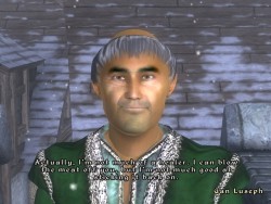 the-greymarch:  ah yes, The Elder Scrolls IV: Oblivion, game of the year 2006with such great dialogue as “i can blow the meat off you”