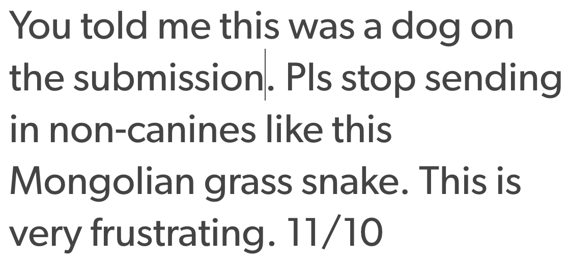animalrates:  more animals rated here