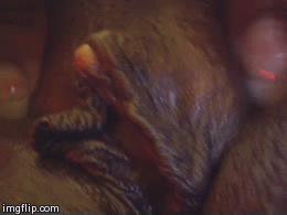blackmommycock:  mmm…I LOVE working my big clit.  cum suck it, baby.  Mmmm