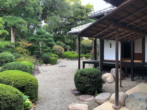 もりぐち歴史館（旧中西家住宅）[ 大阪府守口市 ] Moriguchi History Museum Garden, Moriguchi, Osaka の写真・記事を更新しました。 ーー家康の後妻“