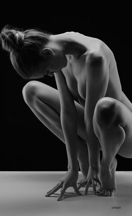 hobartredux:  Please follow Hobart is Back!