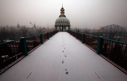 weirdlandtv:Photos by David Gray of China’s abandoned WONDERLAND park, once planned