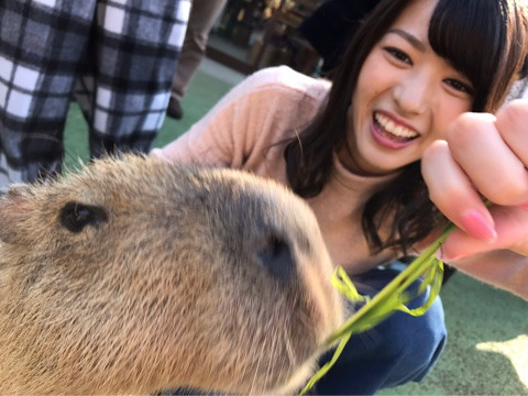 アニマル♡｜矢島舞美オフィシャルブログ Powered by Ameba