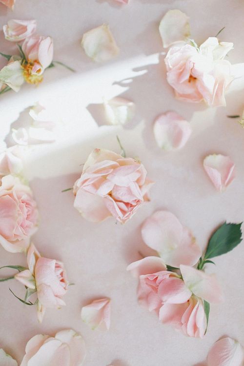 viridianlavinia:  fragile things