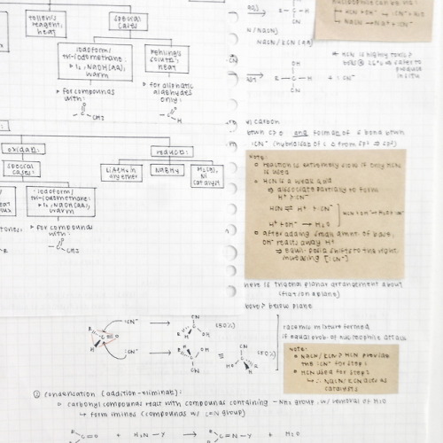sprouht-studies: featured are my notes for organic chemistry!! ✨