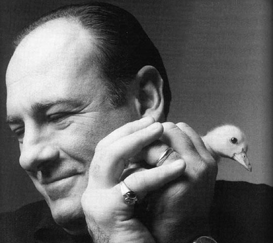 perfectenn:  Such a loss  Another good actor dead and so many shitty ones still alive.