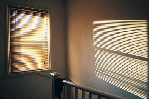 eliego:  light by laura trosh on Flickr. 