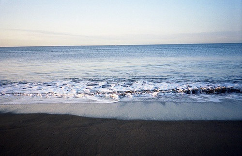 vento-gelido:  🌊