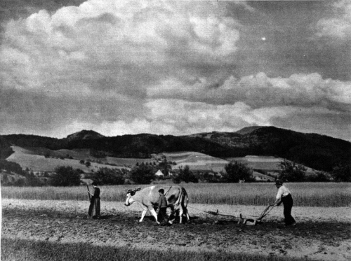 At the plough. Austria, 1938.