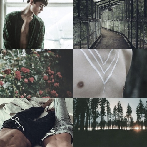 foundinghouses:  Harry Potter Aesthetic: Men of Slytherin    “Let’s do this together, let’s do this right, we are the men of Slytherin, we are light.” 