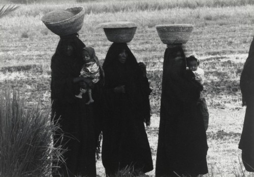 moma-photography:Procession, Egypt, Dorothea Lange, 1963, MoMA: PhotographyPurchaseSize: 12 11/16 × 