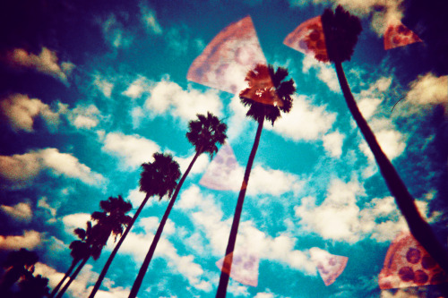 katesworld:  PIZZA AND PALM TREES. LA Photo: Kate Bellm