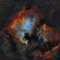 spacettf:  Northamerica and Pelican Nebulas,