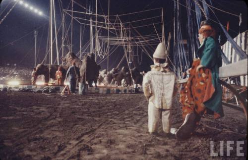 Ringling Bros. and Barnum &amp; Bailey Circus in Pomona, California(Ralph Crane. 1958?)