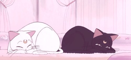 https://arichardson586.tumblr.com/post/173303686502