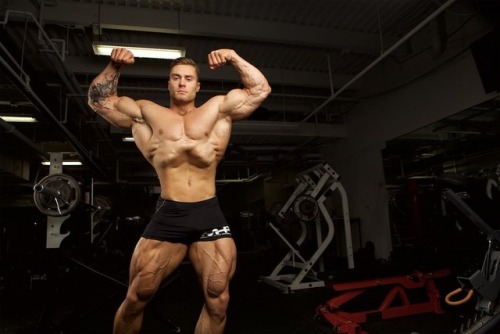 sark4play:  Chris Bumstead